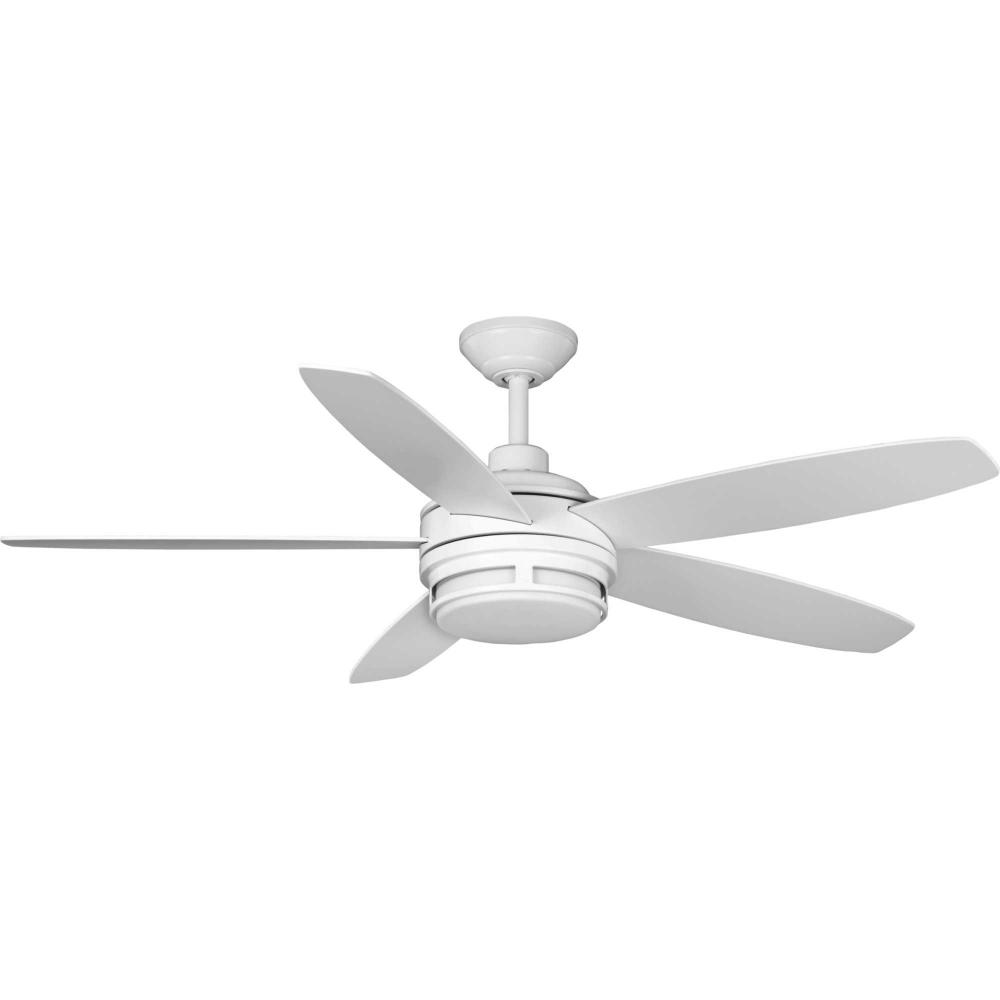 Albin Collection 54" Indoor/Outdoor Five-Blade White Ceiling Fan