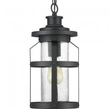 Progress P550031-031 - Haslett Collection One-Light Hanging Lantern