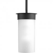 Progress P5513-31 - Hawthorne Collection One-Light Small Hanging Lantern