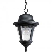 Progress P5530-31 - Westport Collection One-Light Hanging Lantern
