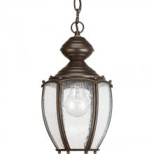 Progress P5565-20 - Roman Coach Collection One-Light Hanging Lantern