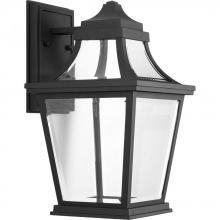 Progress P6057-3130K9 - Endorse Collection One-Light Medium Wall Lantern