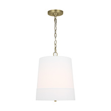 Visual Comfort & Co. Studio Collection LP1081TWBWLW - Ivy traditional dimmable indoor 1-light medium pendant in a time worn brass finish with an etched wh