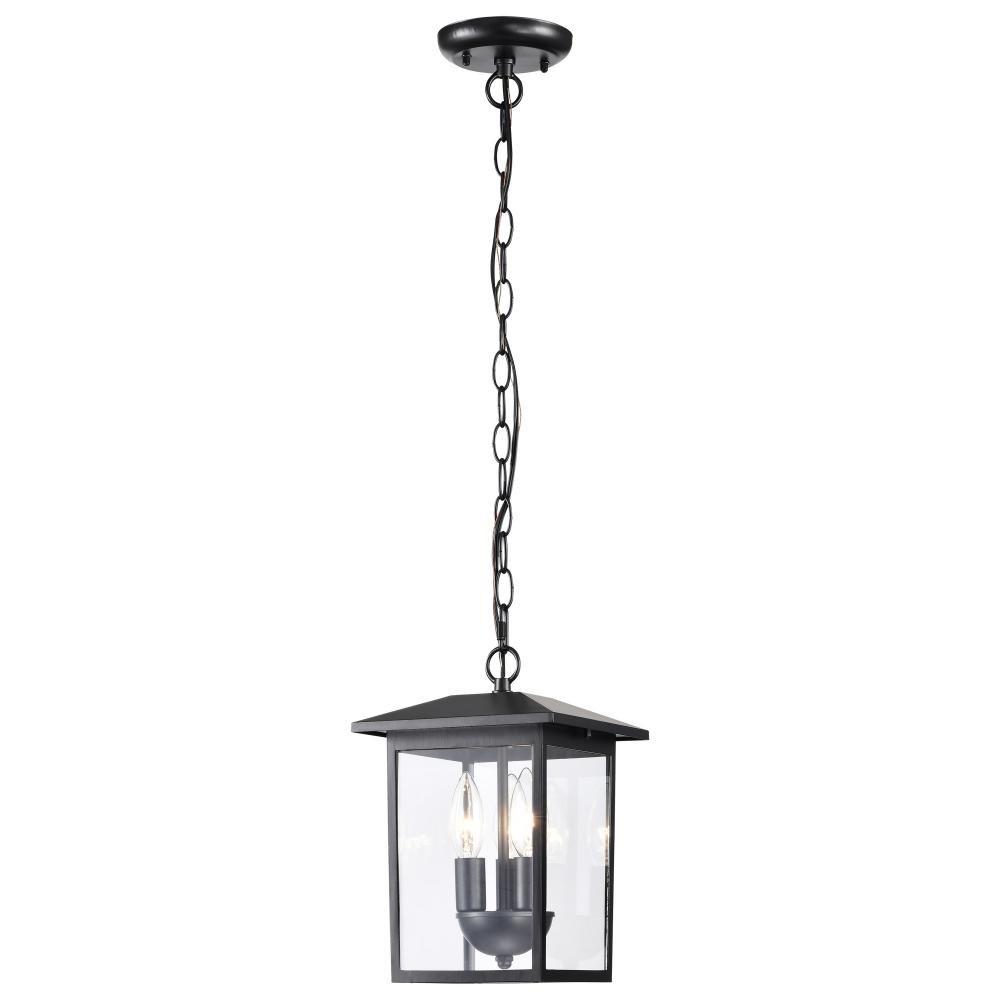 Jamesport Collection Outdoor 11 inch Hanging Light; Matte Black with Clear Glass
