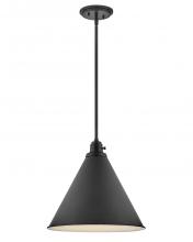 Hinkley 3694BK - Medium Pendant